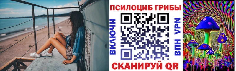закладки  Светлоград  Псилоцибиновые грибы Magic Shrooms 