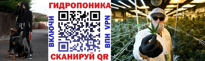 Канабис сатива  Светлоград 